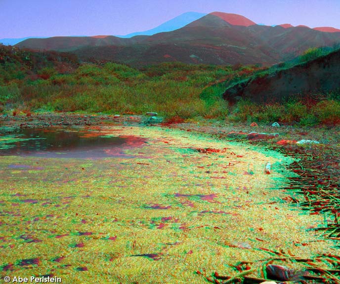 [070720-Pt-Buchon--Coon-Creek-estuary-ANA-C-BLOG.jpg]