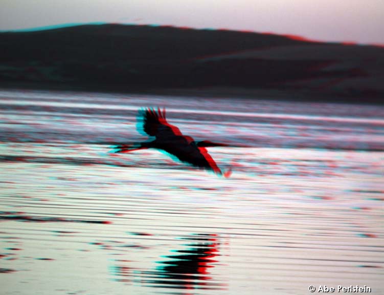 [0039-ANA-C-BLOG.jpg]