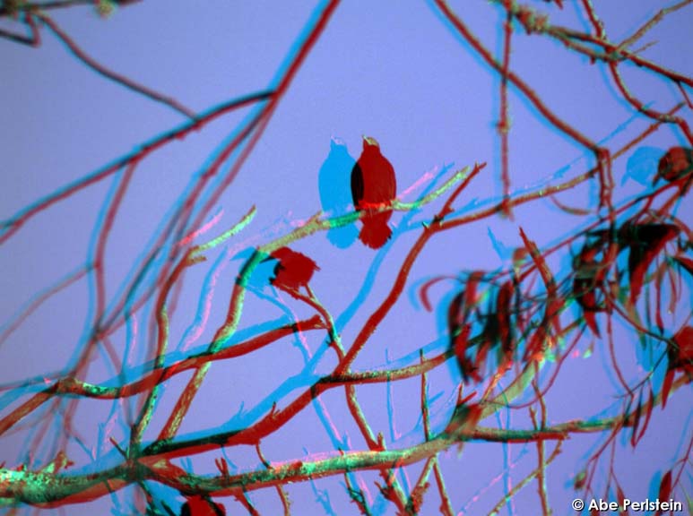 [0037-ANA-C-BLOG.jpg]