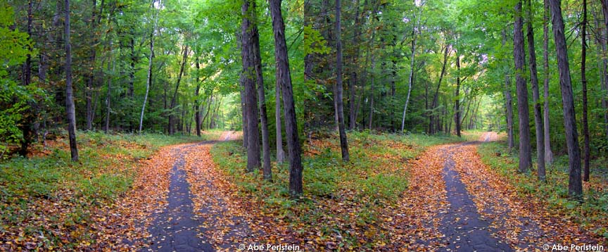 [070914-Bloomfield--Penwood-Park-road-1-X-C-BLOG.jpg]