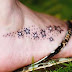Star foot tattoos-Dazzling Steps