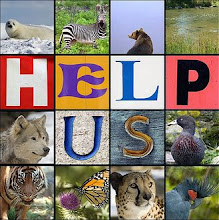 Adopt an endangered Animal