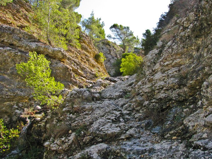 Dans un vallon, coule une source.