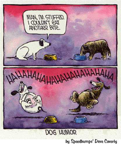 [doghumor.jpg]