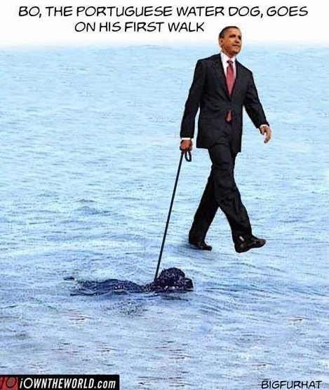 [NewPicture1555.jpg]