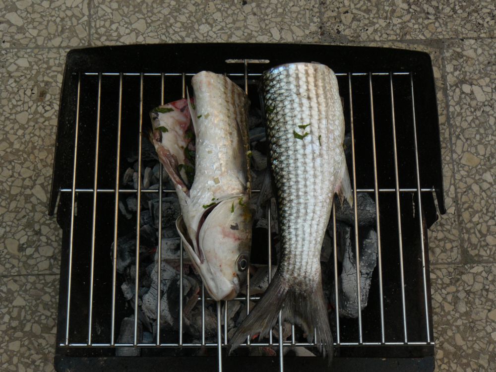 [P1030854p.jpg]