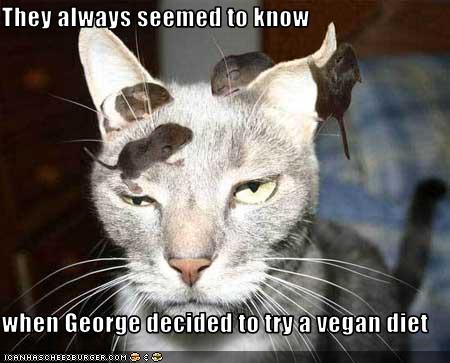 [funny-pictures-your-cat-is-vegan.jpg]
