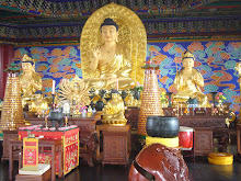 Buddhas in the Temple Museum