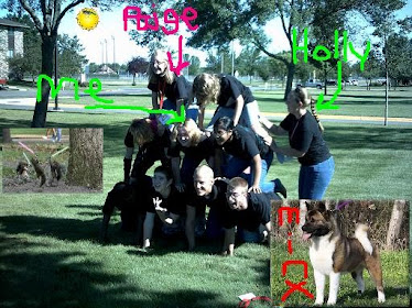 Crazy Fun Human Pyramid