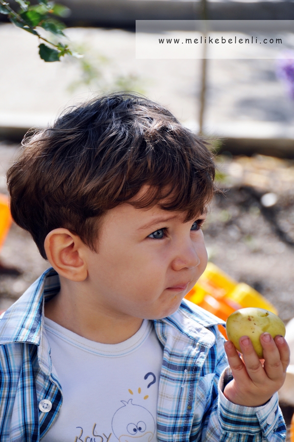 metin haktan koyuncu En Güzel Bebek Fotoğrafı Yarışması Birincisi