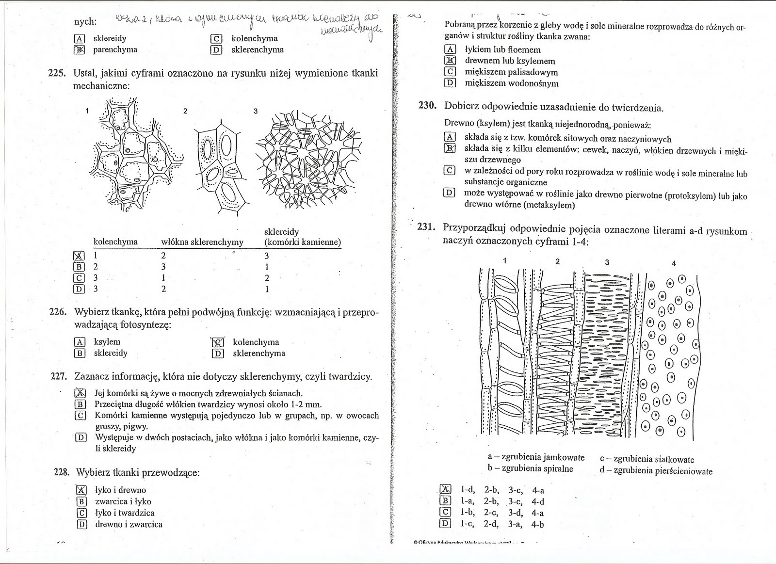 Sprawdzian Z Biologii Klasa 7 Dzia 7 Sprawdzian Z Biologii Klasa 7 Dzia 7