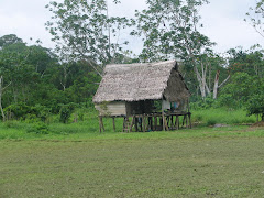 Maison du village