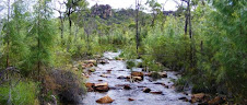 Wet Season in Kakadu