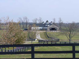 Farm View