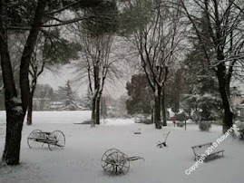 Nevicata pre-natalizia a Gradisca d'Isonzo