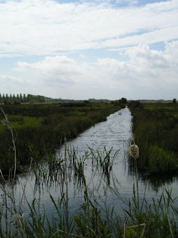 A drainage ditch looking out to Share Marsh