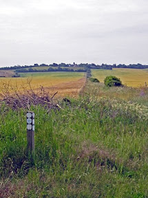 Heydon Ditch leads up the hill to Heydon