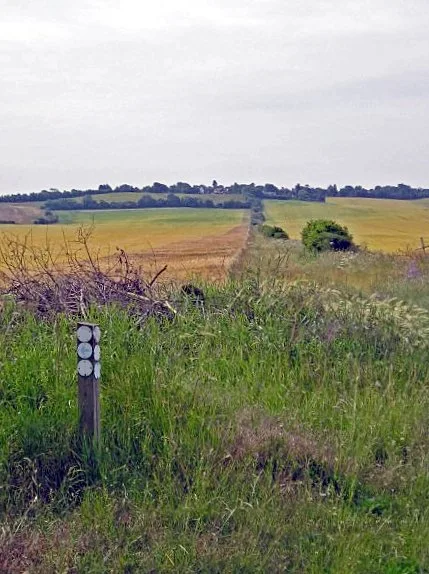 Heydon Ditch leads up the hill to Heydon