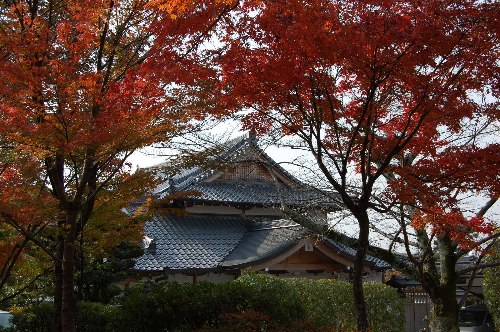 [DSC_0234.JPG]