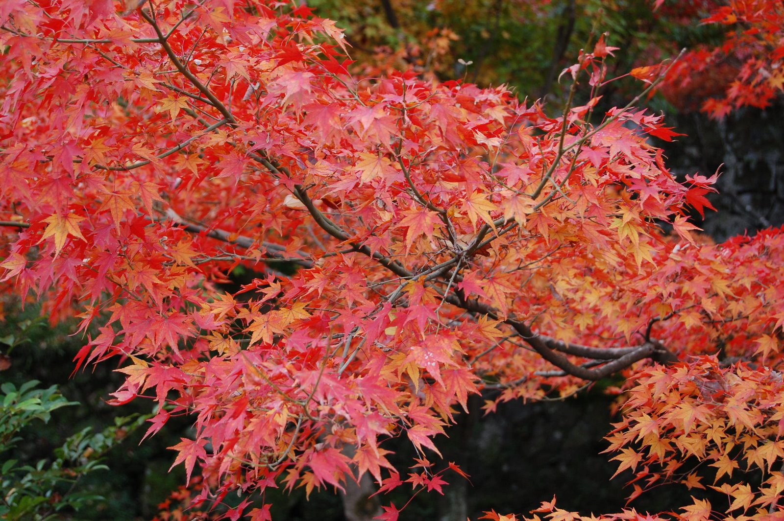 [DSC_0400.JPG]