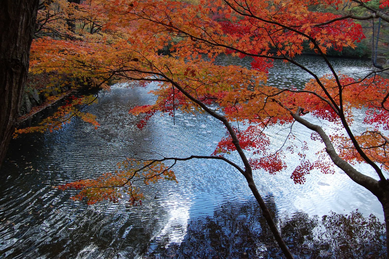 [DSC_0546.JPG]