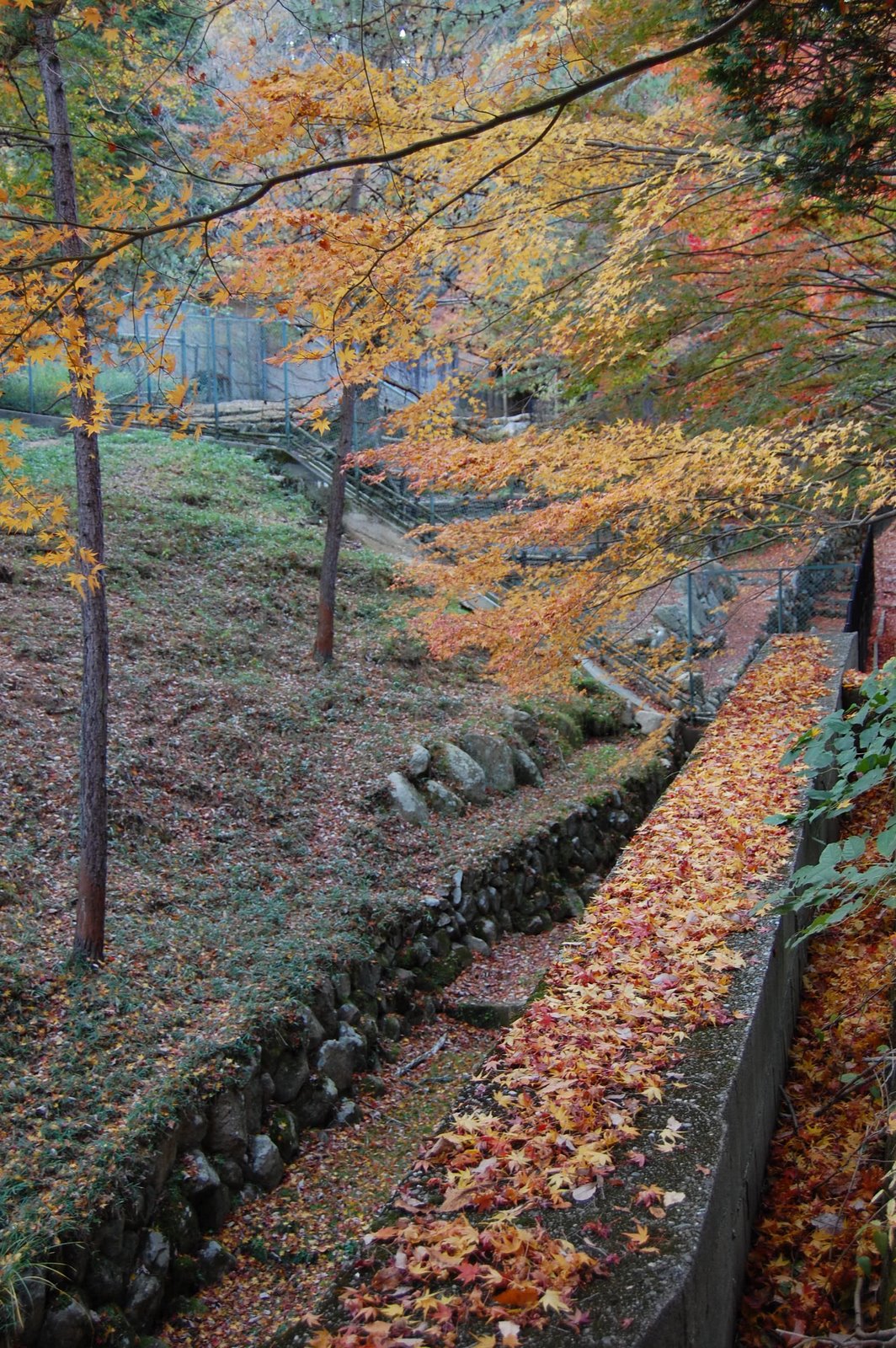 [DSC_0576.JPG]