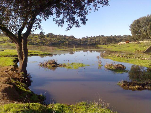 El GAUCHOGUACHO Un arroyo más
