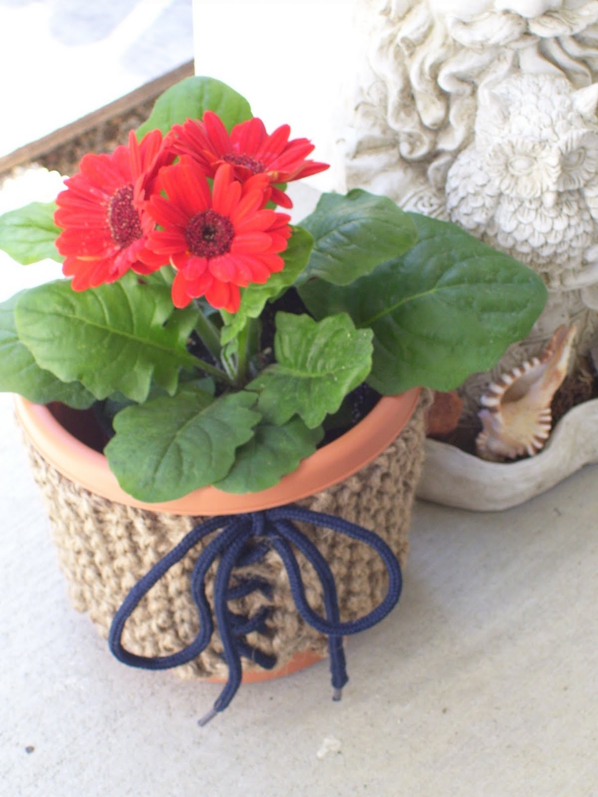 Knit 1 for the Road, a book, a blog, a lifestyle. Jiffy Jute Planter Wrap