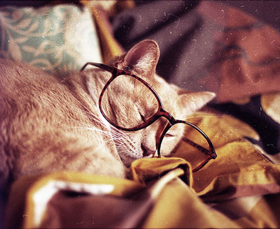 Jawapan Salam Non Muslim Rasmi My