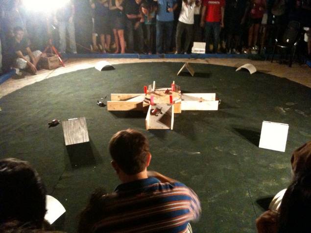 [Turtle-racing-2.jpg]
