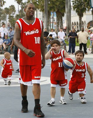 [Rodman-TheMinis.jpg]