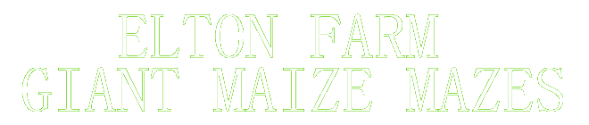 Elton Maize Maze, Forest of Dean, Glos