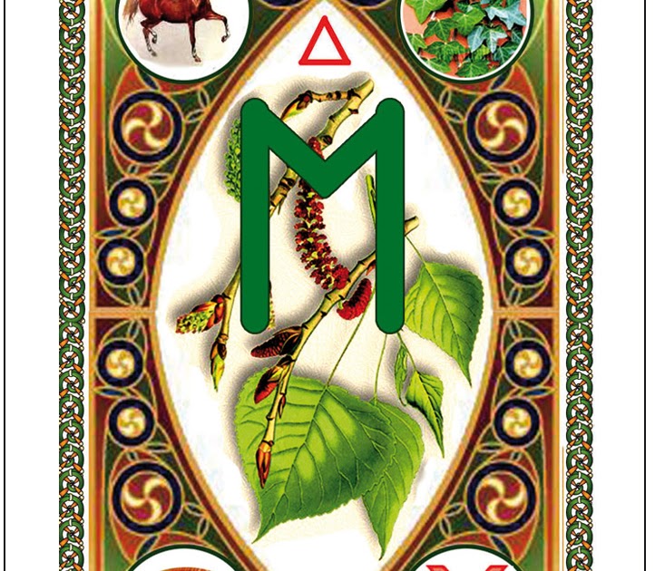 Руна дня