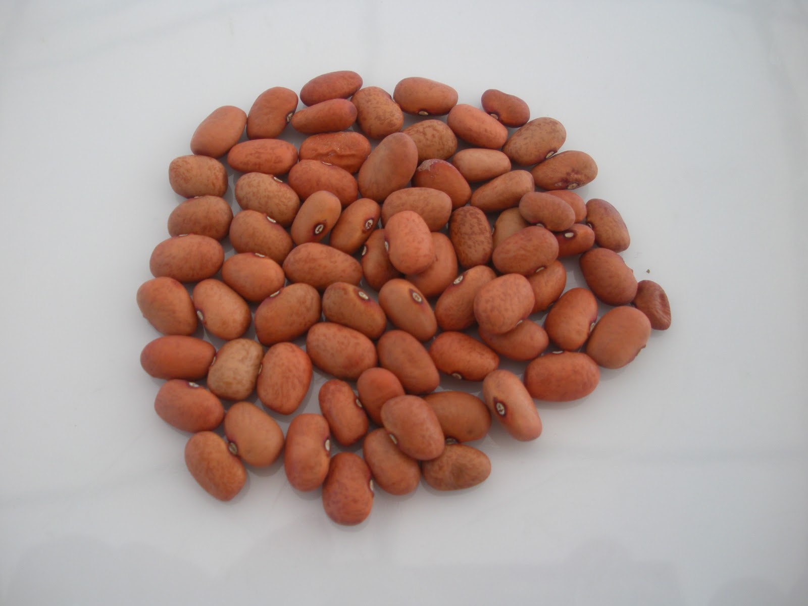 Required a bean of type. Bean 10.