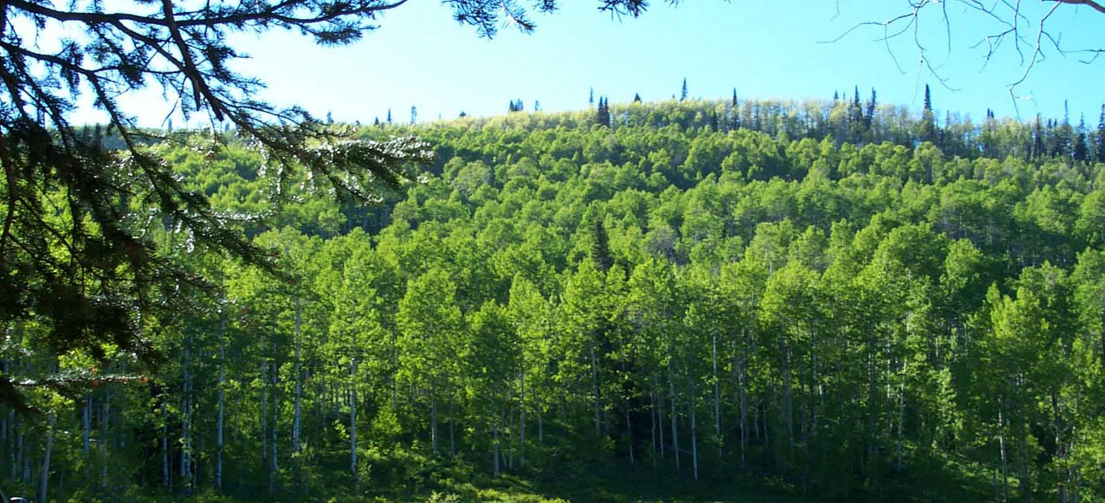 [Wasatch+Mtns+2002.jpg]