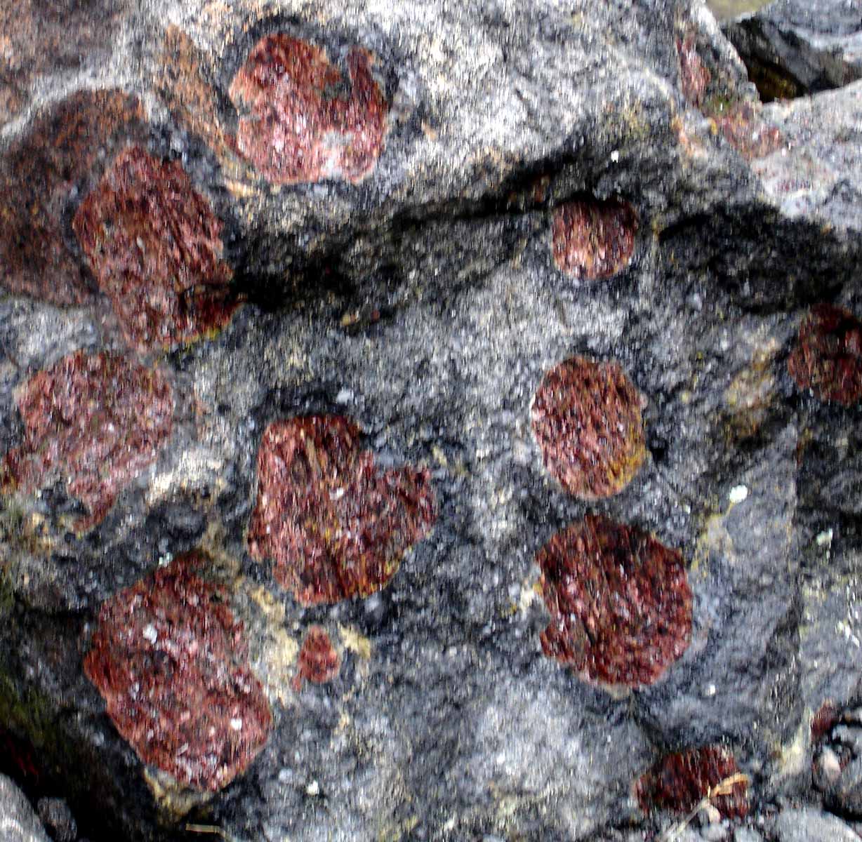 [GoreMtnVt_Garnet2.jpg]