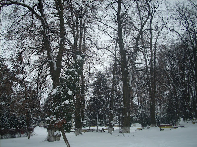 Iarna la Suceava