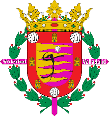 Voleibol Valladolid