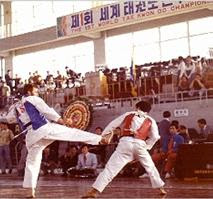 Fred Abster Taekwondo