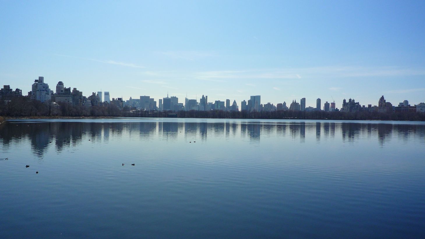 [NY_16.jpg]