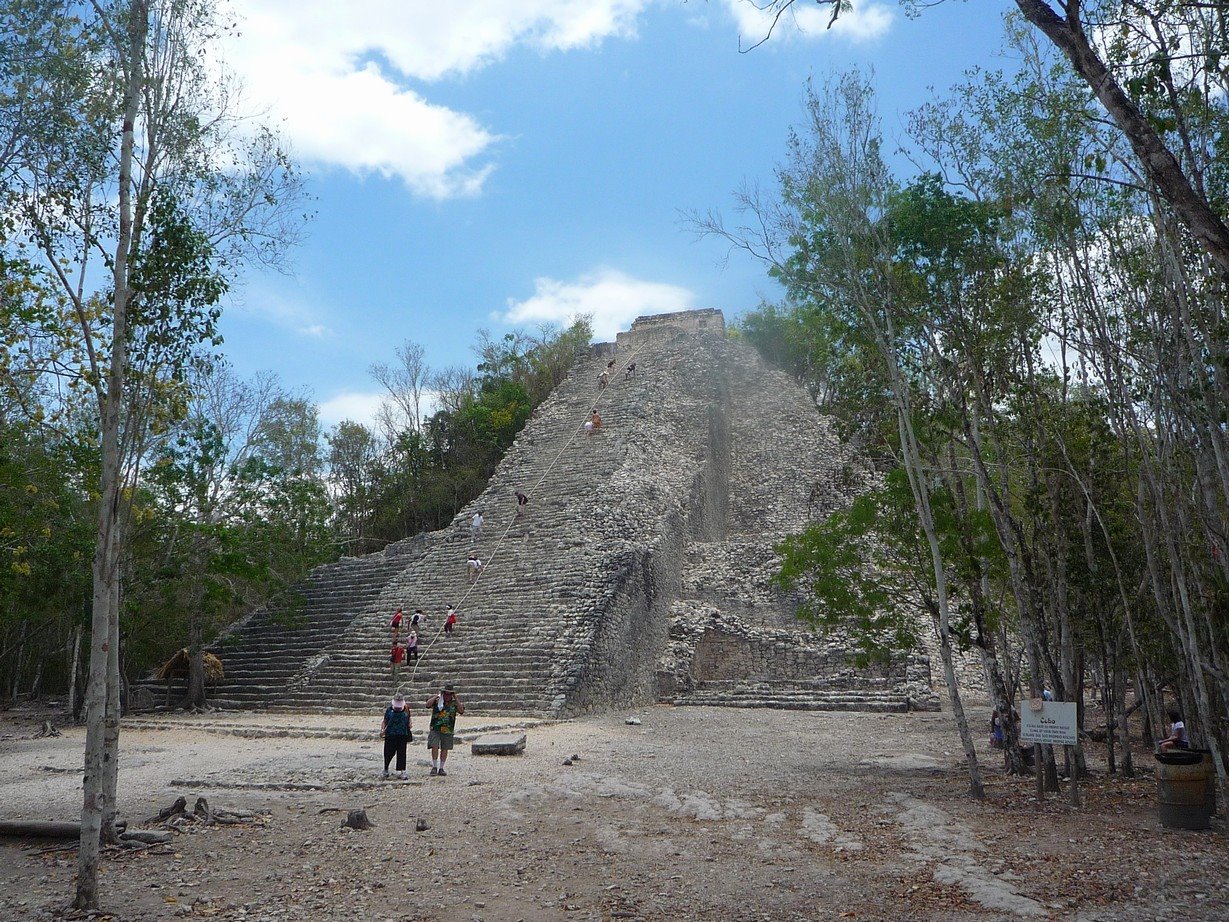 [P1120866.JPG]