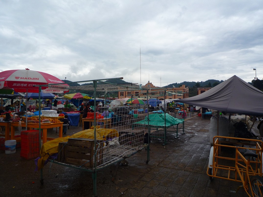 [P1150476.JPG]