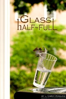 Glass half-Full and Glass Chimera
