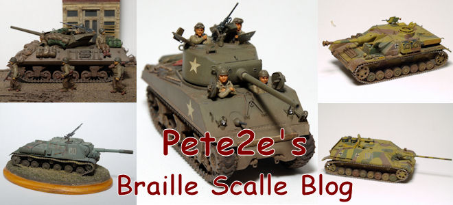 Braille Scale Blog