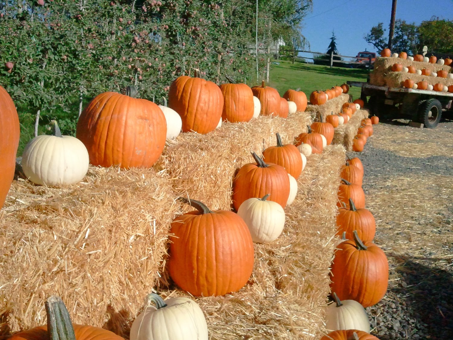 feed yourself Road Trip to Yakima for Farm Fresh Produce