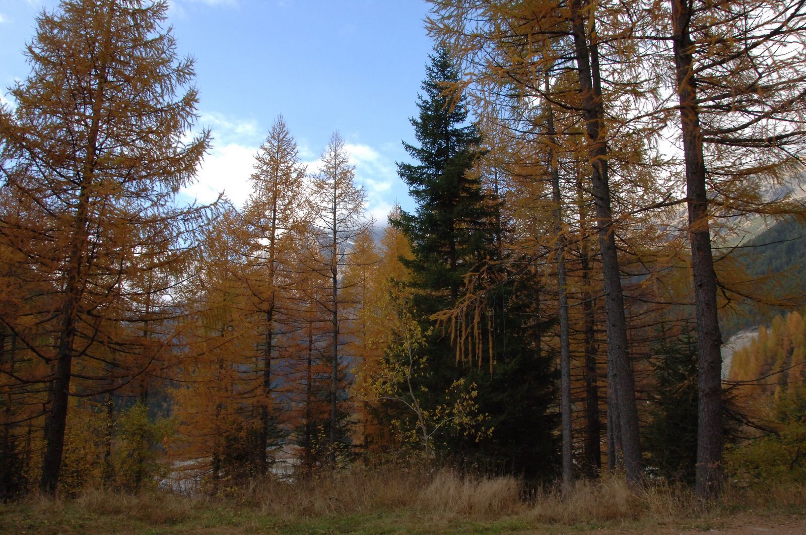 [DSC_0018.JPG]