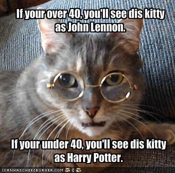 funny cats with sayings. funny cat quotes. cute quotes