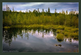 Amur