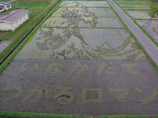 El arte del arroz