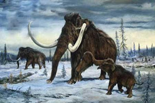 Extinción final